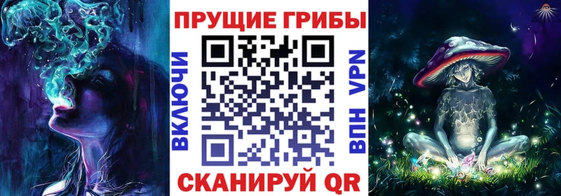 мега маркетплейс  Чёрмоз  Псилоцибиновые грибы MAGIC MUSHROOMS  хочу  